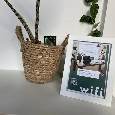 Apartament Charmant Duplex Avec Terrasse Dans Le Vieux